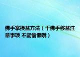 佛手掌換盆方法（千佛手移盆注意事項(xiàng) 不能偷懶哦）