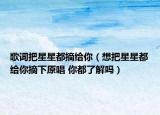 歌詞把星星都摘給你（想把星星都給你摘下原唱 你都了解嗎）