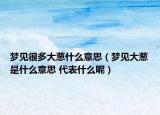 夢(mèng)見很多大蔥什么意思（夢(mèng)見大蔥是什么意思 代表什么呢）