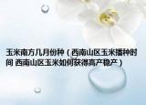 玉米南方幾月份種（西南山區(qū)玉米播種時間 西南山區(qū)玉米如何獲得高產穩(wěn)產）