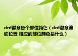 dnf徽章各個(gè)部位顏色（dnf徽章鑲嵌位置 相應(yīng)的部位顏色是什么）
