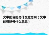 文中的省略號什么意思?。ㄎ闹械氖÷蕴柺裁匆馑迹? /></span></a>
                        <h2><a href=