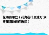 花海有哪些（花海在什么地方 眾多花海地供你選擇）