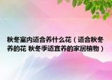 秋冬室內(nèi)適合養(yǎng)什么花（適合秋冬養(yǎng)的花 秋冬季適宜養(yǎng)的家居植物）
