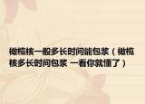 橄欖核一般多長時間能包漿（橄欖核多長時間包漿 一看你就懂了）