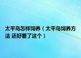 太平鳥怎樣飼養(yǎng)（太平鳥飼養(yǎng)方法 還好看了這個(gè)）