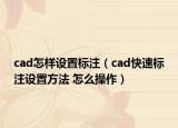 cad怎樣設(shè)置標注（cad快速標注設(shè)置方法 怎么操作）