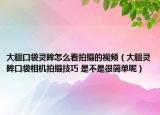 大疆口袋靈眸怎么看拍攝的視頻（大疆靈眸口袋相機(jī)拍攝技巧 是不是很簡單呢）