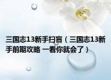 三國志13新手掃盲（三國志13新手前期攻略 一看你就會了）