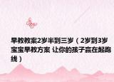 早教教案2歲半到三歲（2歲到3歲寶寶早教方案 讓你的孩子贏在起跑線）