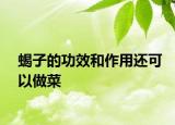 蝎子的功效和作用還可以做菜