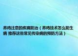 養(yǎng)雞注意的疾病防治（養(yǎng)雞技術(shù)怎么防生病 推薦這些常見(jiàn)傳染病的預(yù)防方法）