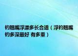 釣翹嘴浮漂多長(zhǎng)合適（浮釣翹嘴釣多深最好 有多重）