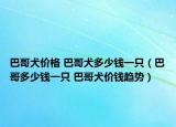 巴哥犬價(jià)格 巴哥犬多少錢一只（巴哥多少錢一只 巴哥犬價(jià)錢趨勢(shì)）