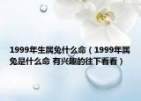 1999年生屬兔什么命（1999年屬兔是什么命 有興趣的往下看看）