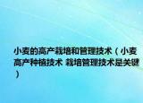 小麥的高產(chǎn)栽培和管理技術(shù)（小麥高產(chǎn)種植技術(shù) 栽培管理技術(shù)是關(guān)鍵）