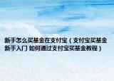 新手怎么買基金在支付寶（支付寶買基金新手入門 如何通過支付寶買基金教程）