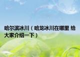 哈爾濱冰川（哈龍冰川在哪里 給大家介紹一下）