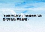 飛磕用什么魚竿（飛磕鯉魚用幾米的釣竿合適 來看看咯）