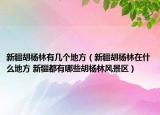 新疆胡楊林有幾個地方（新疆胡楊林在什么地方 新疆都有哪些胡楊林風(fēng)景區(qū)）