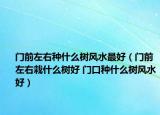 門(mén)前左右種什么樹(shù)風(fēng)水最好（門(mén)前左右栽什么樹(shù)好 門(mén)口種什么樹(shù)風(fēng)水好）