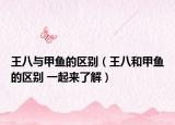 王八與甲魚的區(qū)別（王八和甲魚的區(qū)別 一起來了解）
