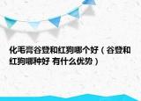 化毛膏谷登和紅狗哪個(gè)好（谷登和紅狗哪種好 有什么優(yōu)勢(shì)）