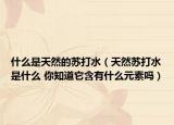 什么是天然的蘇打水（天然蘇打水是什么 你知道它含有什么元素嗎）