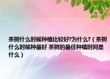 茶樹什么時候種植比較好?為什么?（茶樹什么時候種最好 茶樹的最佳種植時間是什么）
