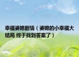 幸福婆媳劇情（婆媳的小幸福大結(jié)局 終于找到答案了）
