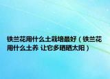鐵蘭花用什么土栽培最好（鐵蘭花用什么土養(yǎng) 讓它多曬曬太陽）