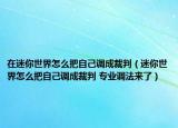 在迷你世界怎么把自己調(diào)成裁判（迷你世界怎么把自己調(diào)成裁判 專業(yè)調(diào)法來了）