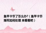 魚(yú)竿卡節(jié)了怎么辦?（魚(yú)竿卡節(jié)爆死如何處理 來(lái)看看吧）
