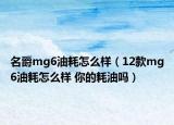 名爵mg6油耗怎么樣（12款mg6油耗怎么樣 你的耗油嗎）