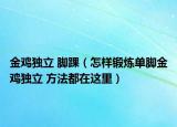 金雞獨立 腳踝（怎樣鍛煉單腳金雞獨立 方法都在這里）