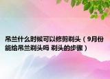 吊蘭什么時候可以修剪剃頭（9月份能給吊蘭剃頭嗎 剃頭的步驟）