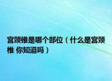 宮頸錐是哪個(gè)部位（什么是宮頸椎 你知道嗎）