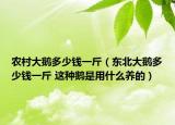 農(nóng)村大鵝多少錢(qián)一斤（東北大鵝多少錢(qián)一斤 這種鵝是用什么養(yǎng)的）
