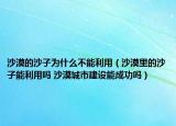 沙漠的沙子為什么不能利用（沙漠里的沙子能利用嗎 沙漠城市建設(shè)能成功嗎）