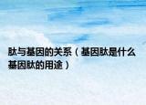 肽與基因的關(guān)系（基因肽是什么 基因肽的用途）