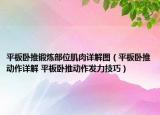 平板臥推鍛煉部位肌肉詳解圖（平板臥推動(dòng)作詳解 平板臥推動(dòng)作發(fā)力技巧）
