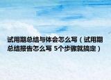 試用期總結(jié)與體會怎么寫（試用期總結(jié)報告怎么寫 5個步驟就搞定）