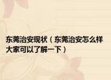 東莞治安現(xiàn)狀（東莞治安怎么樣 大家可以了解一下）