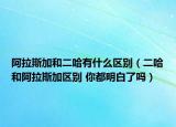 阿拉斯加和二哈有什么區(qū)別（二哈和阿拉斯加區(qū)別 你都明白了嗎）