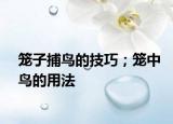 籠子捕鳥的技巧；籠中鳥的用法