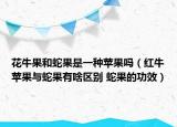 花牛果和蛇果是一種蘋(píng)果嗎（紅牛蘋(píng)果與蛇果有啥區(qū)別 蛇果的功效）
