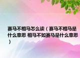 賽馬不相馬怎么讀（賽馬不相馬是什么意思 相馬不如賽馬是什么意思）