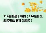 114客服是干嘛的（114是什么服務(wù)電話 有什么服務(wù)）