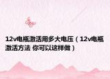 12v電瓶激活用多大電壓（12v電瓶激活方法 你可以這樣做）