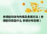 參須的功效與作用及食用方法（參須的功效是什么 參須分布在哪）